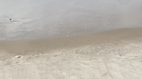 ENJOY THE OCEAN WAVES!