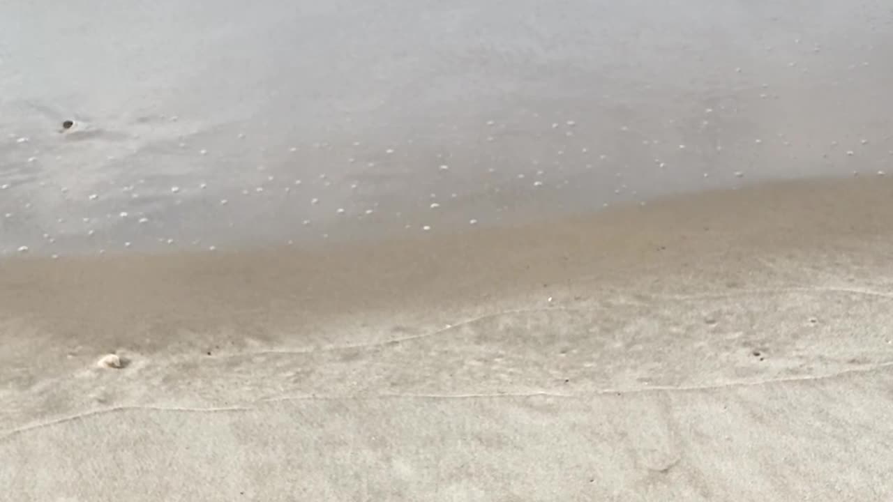 ENJOY THE OCEAN WAVES!
