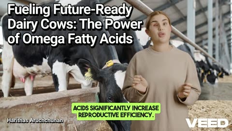 Fueling Future-Ready Dairy Cows:The Power of Omega Fatty Acids