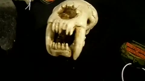 Some more neat things to see