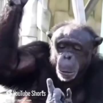 HUNTER FAMILIA, DO YOU WANT A BANANA?