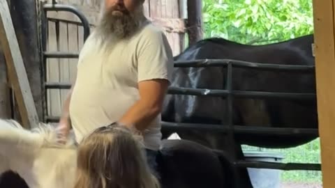Pony Torpedoes Through Barn