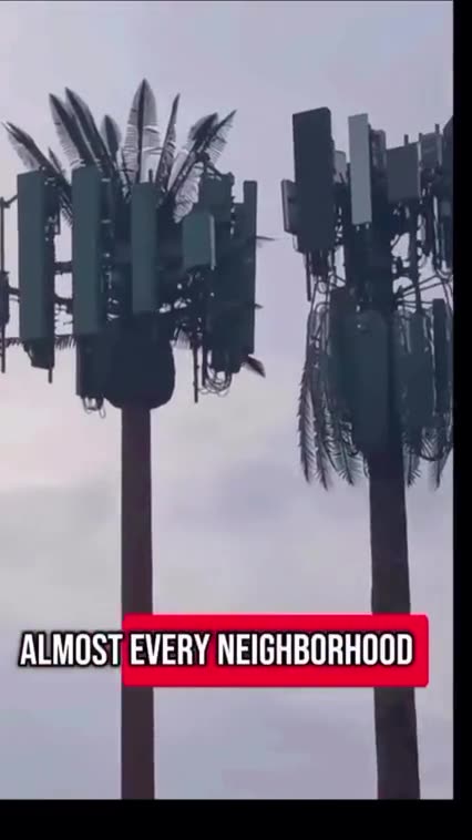 DO YOU REALLY BELIEVE THESE 5G ANTENNAS ARE ABOUT BETTER INTERNET⁉️