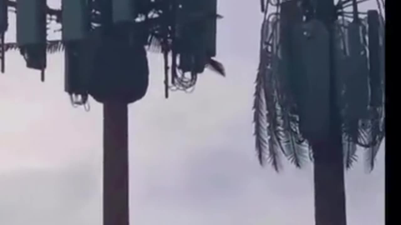 DO YOU REALLY BELIEVE THESE 5G ANTENNAS ARE ABOUT BETTER INTERNET⁉️