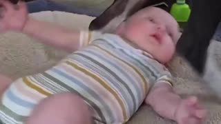 😂🐶 The Dog's Reaction to Baby Poop is Priceless! | FunFM