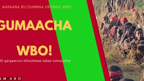 Gabaasa Gumaacha ONM-ABO Sadaasa 9-2025 itti dhiyaadhaa!
