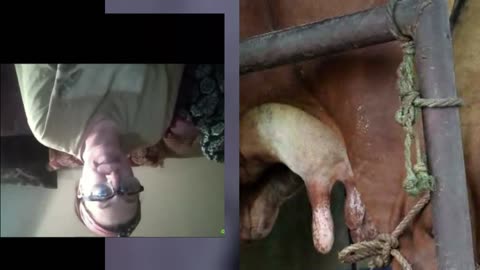 World Premiere - Leave me alone, Nice Michael and dirty old ML - duet