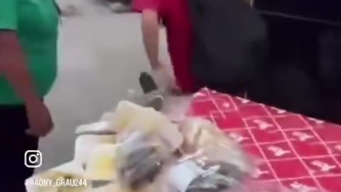 Viral video shows a kid "lil animal" trashing a grocery store as "DUMB" adults watch.