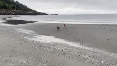 fun at the beach 129082190812908