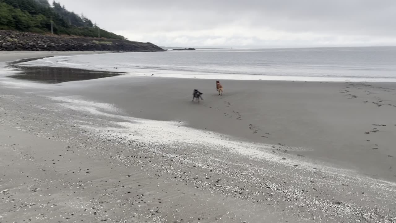 fun at the beach 129082190812908