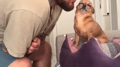 Dogs and dads
