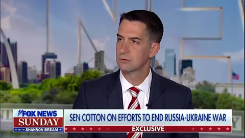 'STRONG AMERICAN LEADERSHIP': Sen. Tom Cotton backs Trump's foreign policy plans