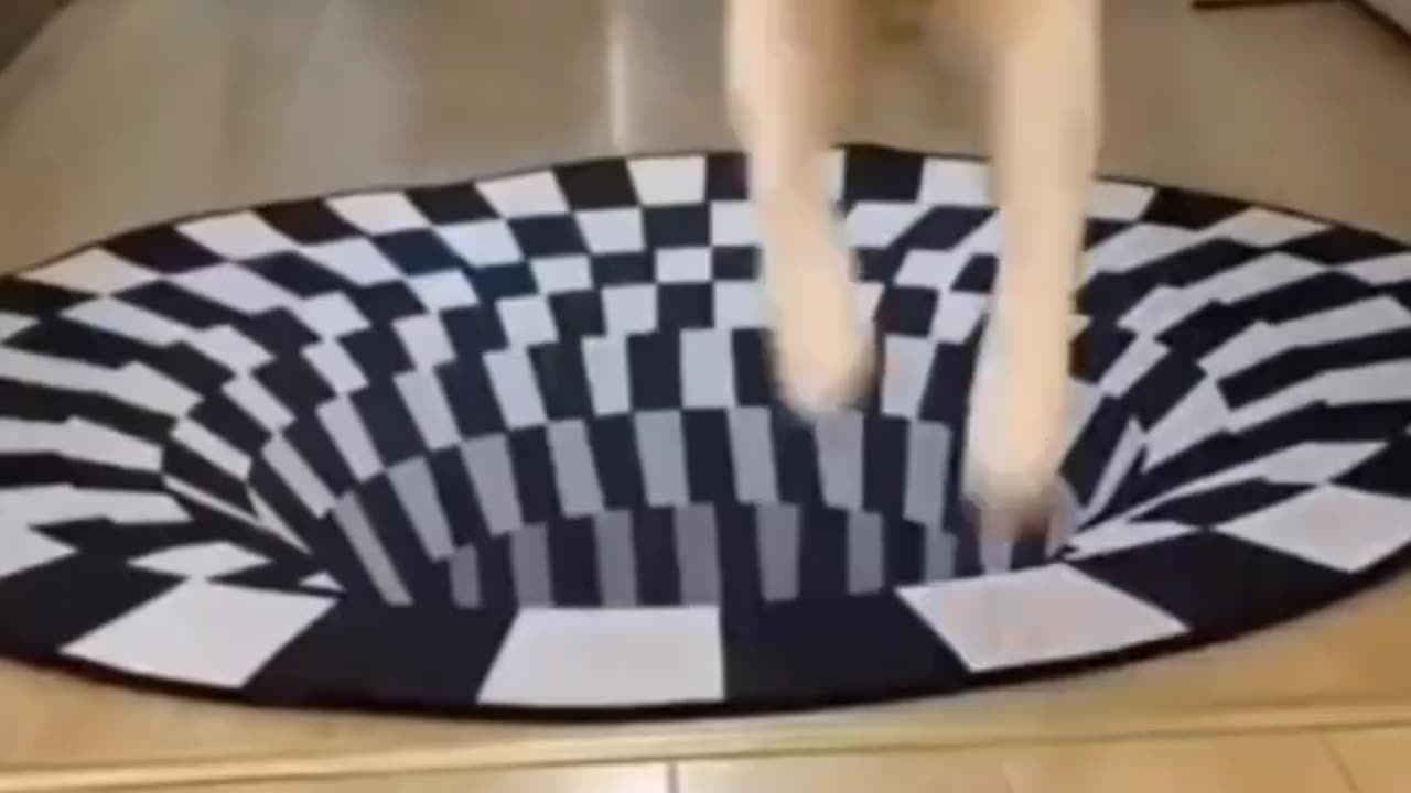 Whisker Wonderland | Playful Kittens in Action π±β¨