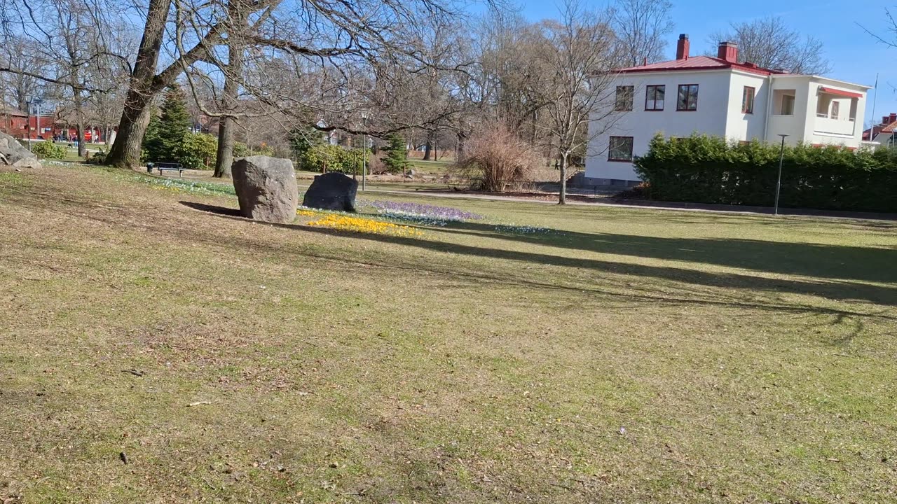 Promenad i Stadsparken och Wadköping. Örebro 2 April 2025
