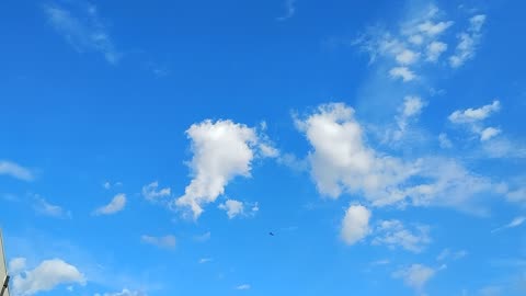 the DALLAS DICK west Texas invasion on AZ - more sprayers over TODAY - July 21st 2025 -