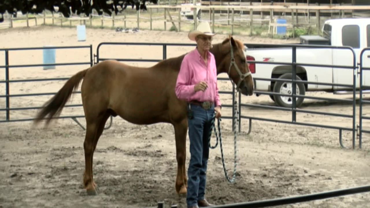 Skipper Calder & Cowboy-up Ministry bring horse training with a message at 11am.