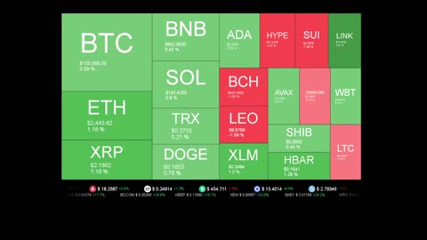 Live Coin Price Watch!