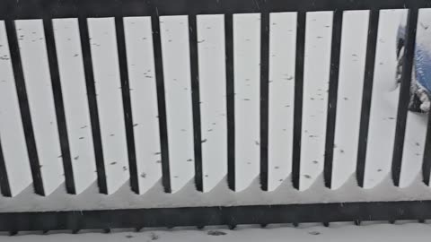 Oak Lawn, Illinois 11/29/25