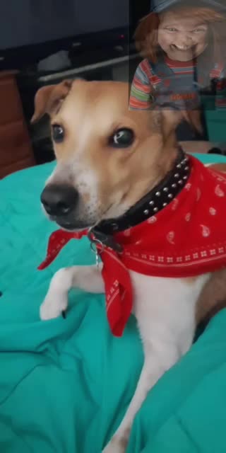 Lisa Richard 5_21_25 LMAO!!!