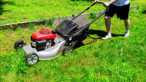 Sam's Landscaping