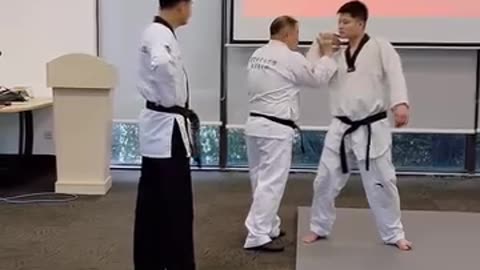 Taekwondo Self Defense Techniques