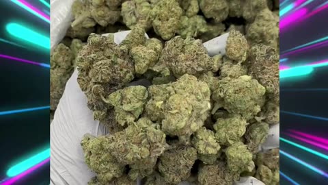 Critical Mass, Indica | dense, skunky, earthy buds and calming, stress relief