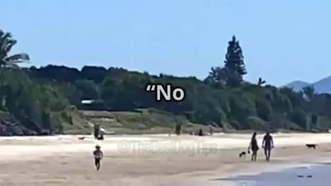 🎬 From Chaos to Calm – Episode 12: “Dog Beach Drama – Freedom Isn’t Free”