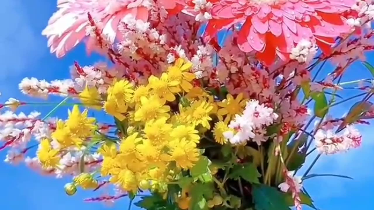 Blooms to the Sky