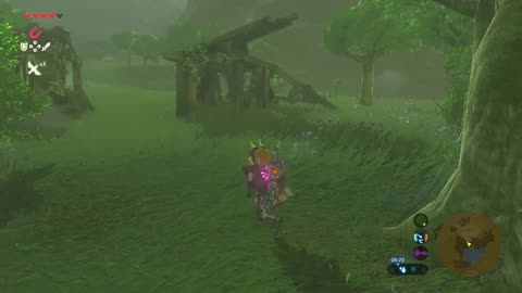 Botw: Goodbye mr wizard