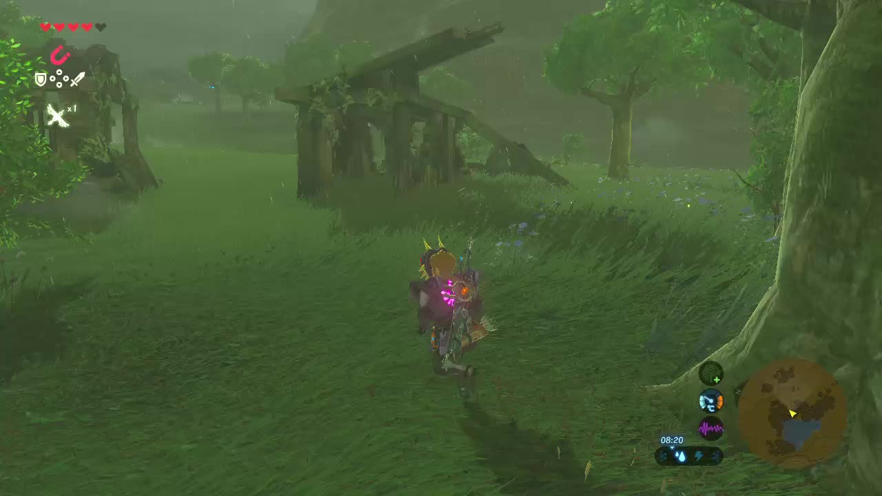 Botw: Goodbye mr wizard