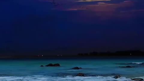 good night