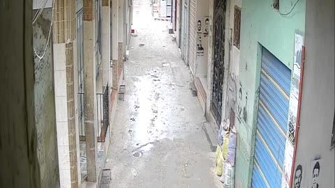 Camera1_elsayed_elsayed_20250207121000_20250207124606_3796399