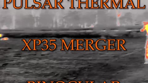 Pulsar Merger XP35