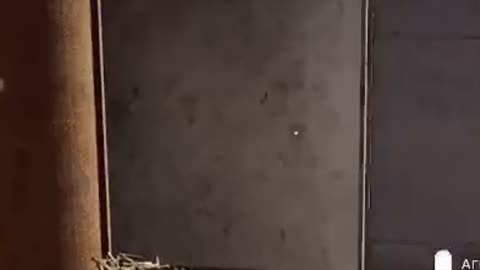 Hilarious chaotic squad voice comms and profanity-filled banter