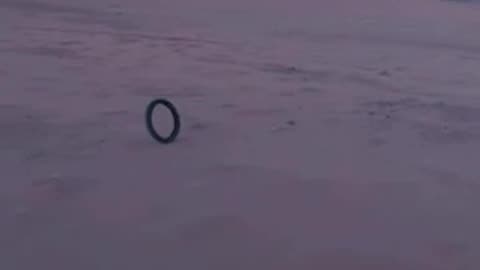 Longest tire roll ever?