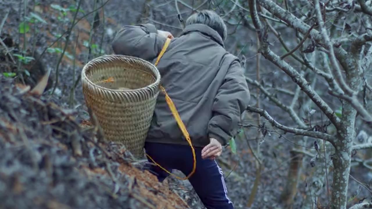 Cooking porang tuber soup