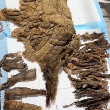 They gave him up for being “ugly” ✨🛁