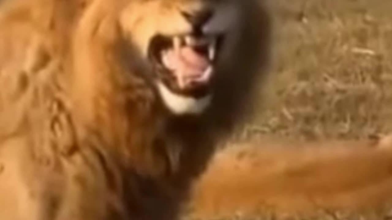 Love watching news meltdown