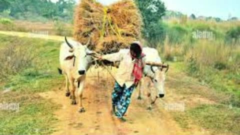 Indian Village Life II Indian VillagesII Indian Rural life II Indian Countryside II #indianvillages