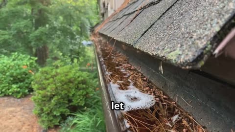 Dealing with storm damage