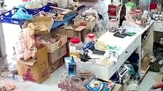 Elefante ‘asalta’ una tienda tailandesa para robar galletas