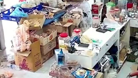 Elefante ‘asalta’ una tienda tailandesa para robar galletas