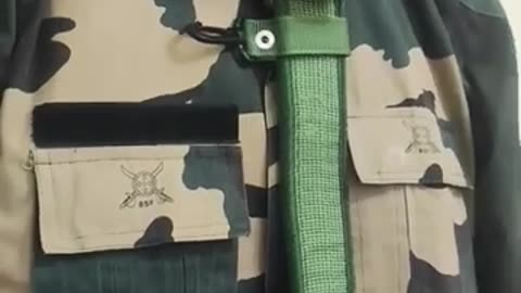 Bsf si
