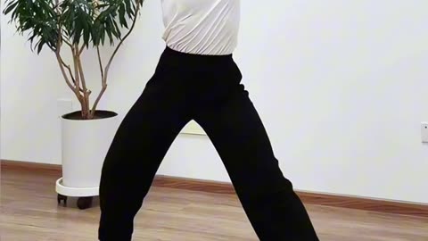 1270.大雁俯身飛