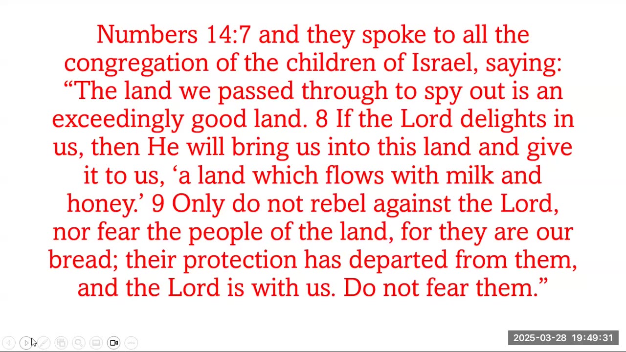 TRIBES AND SPIES OF THE BOOK OF NUMBERS