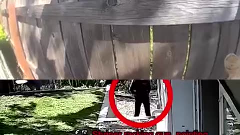 #Bodycam footage of #JillianLauren, wife of #Weezer bassist #ScottShriner, firing weapon at police