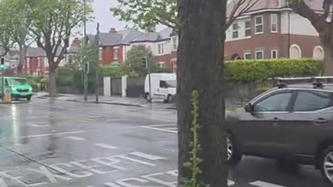 🇮🇪 “ Drumcondra just got a shipment of Afghans.”