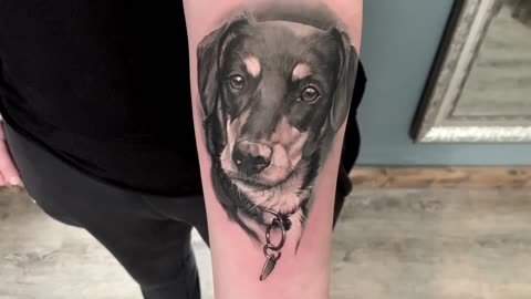 TATTO TIME LAPSE - Dog Potrait