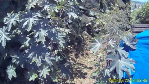 250520A___Madeira_NS-404._Got_all_the_materials_to_build_a_shower_cabin._New_energy_tech.(1080p)
