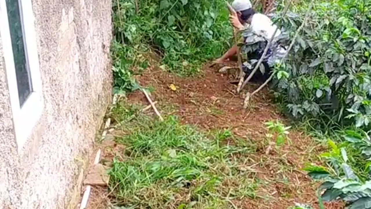 Let’s Clean the Yard Together!